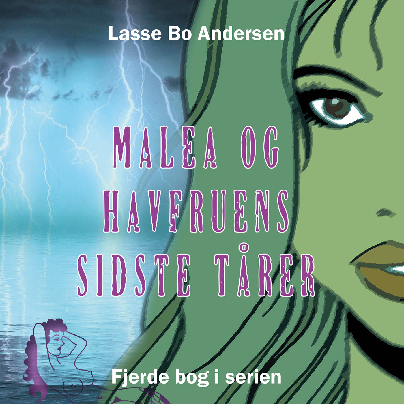 Forside billede